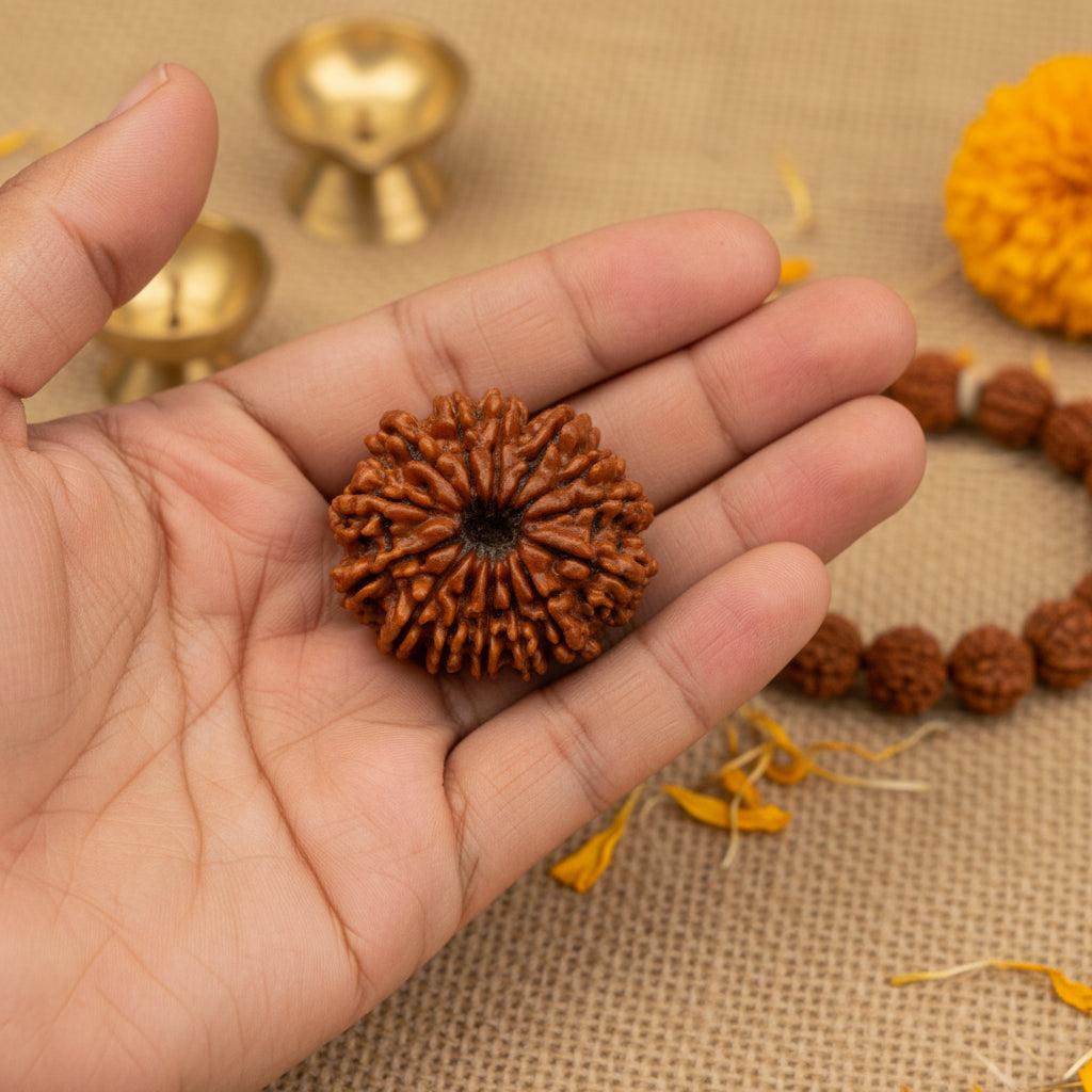14 mukhi